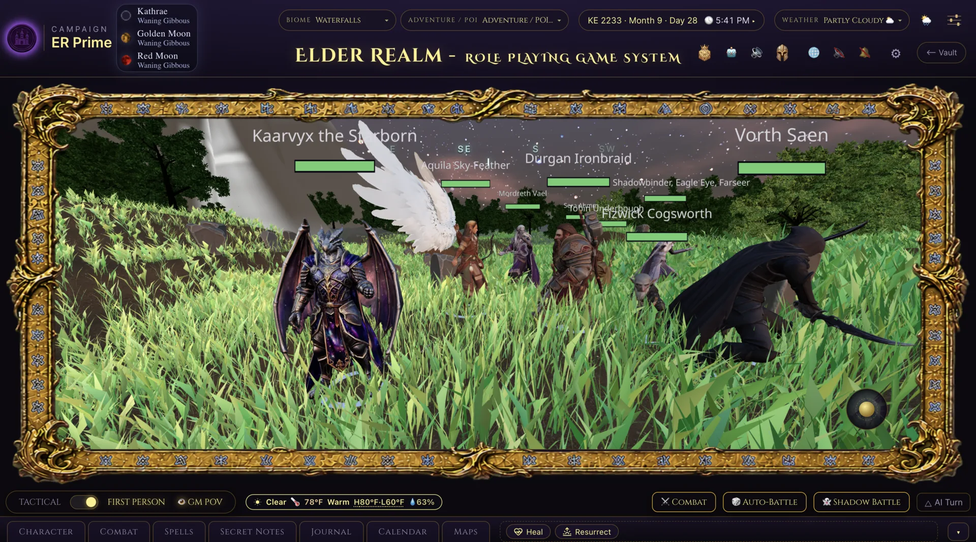 Elder Realm Game Master first-person view of a varied adventuring party together in the Waterfalls biome